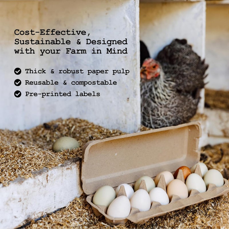 PTCOM Hatortempt Reusable Paper Pulp Egg Cartons - 48-Pack, 12-Count - Pre-Printed Cartons for Date Labeling - Versatile Egg Baskets for Market & Home - Biodegradable Bulk Packs for Easy Transport - Image 3